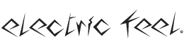 ELECTRIC FEEL MAGAZINE logo